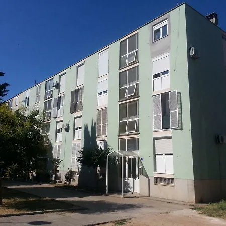 Good Vibes * ザダル